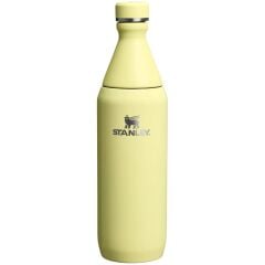 Stanley The All Day Slim Soğuk Su Şişesi 0,60 LT - Pomelo