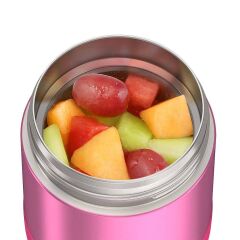 Thermos F320 Funtainer Çocuk Yemek Termosu 0,29L Pink 024310