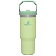 Stanley The IceFlow Flip Straw Pipetli Termos Bardak 0,89 LT (30 OZ) - Citron
