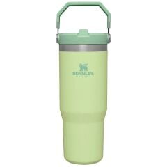 Stanley The IceFlow Flip Straw Pipetli Termos Bardak 0,89 LT (30 OZ) - Citron