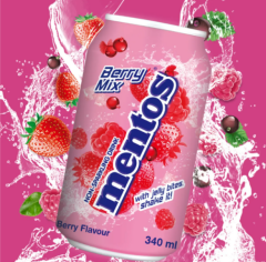 Mentos Hindistan Cevizi Jölesi Parçacıklı Karışık Orman Meyvesi Aromalı İçecek 340 ML