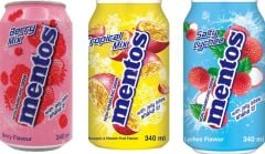 Mentos Tuzlu Liçi - Tropikal Meyve - Orman Meyveleri Aromalı 3'lü İçecek Set