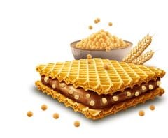 Ferrero Hanuta Plant Based - Crispy Cocoa (220g)