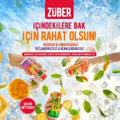Zuber Ice Tea Tadım Paketi 250 ml x 3 Adet