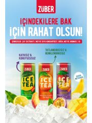 Zuber Ice Tea Tadım Paketi 250 ml x 3 Adet