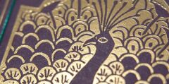 Bicycle Peacock Oyun İskambil Kartı