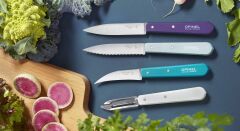 Opinel Les Esseniels Art Deco Soyma Bıçak Seti 4'lü