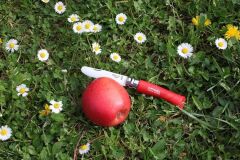 My First Opinel Red - Kırmızı Çocuk Çakısı