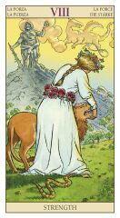 Tarot Of The New Vision Tarot Kartı Destesi