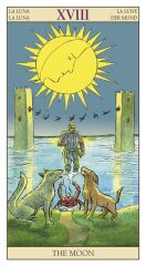 Tarot Of The New Vision Tarot Kartı Destesi