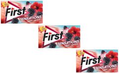 First Sensations Berry Hibiscus Böğürtlen ve Hibiskus Aromalı Şekersiz Tatlandırıcılı Sakız - 3'lü Paket