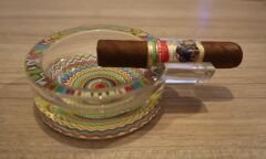 Cam Puro Küllüğü Model 2