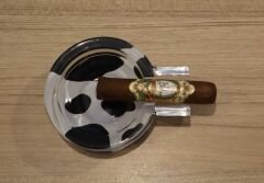 Cam Puro Küllüğü Model 4