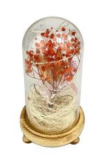 Işıklı Çiçekli Fanus Cam Model 2