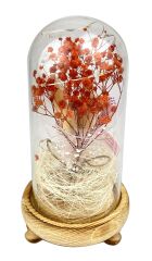 Işıklı Çiçekli Fanus Cam Model 2