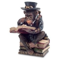 Kitap Okuyan Şempanze Biblo