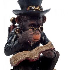 Kitap Okuyan Şempanze Biblo