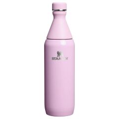 Stanley The All Day Slim Soğuk Su Şişesi 0,60 LT - Cherry Blossom