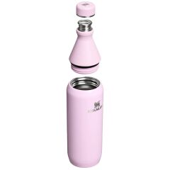 Stanley The All Day Slim Soğuk Su Şişesi 0,60 LT - Cherry Blossom