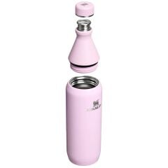 Stanley The All Day Slim Soğuk Su Şişesi 0,60 LT - Cherry Blossom