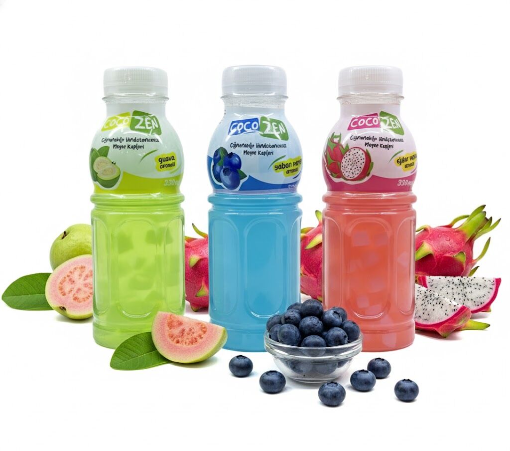 Coco Zen Çiğnenebilir Hindistan Cevizi Meyve Küpleri - Ejder Meyvesi Yaban Mersini, Guava Aromalı 3'lü Set