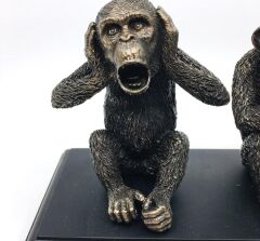 Bilge Üç Maymun Biblo