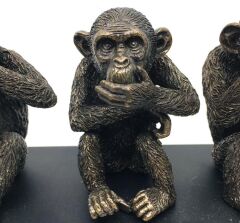 Bilge Üç Maymun Biblo