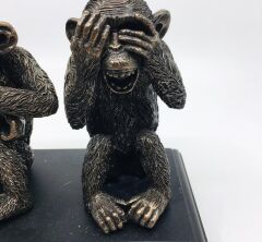 Bilge Üç Maymun Biblo