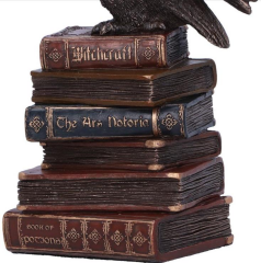 Baykuş Hedwig - Harry Potter Biblo Veronese Design