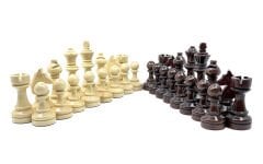 Satranç Taşı - Akçaağaç