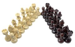 Satranç Taşı - Akçaağaç