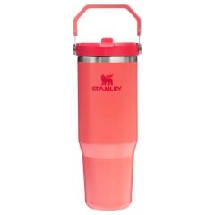 Stanley The IceFlow Flip Straw Pipetli Termos Bardak 0,89 LT (30 OZ) - Hot Coral