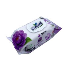 Concord Islak Mendil 120 Adet - Alkol içermez - pH Dengeli - Ege Esintisi (İKİLİ SET)