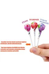 MOM Organik Lolipop (Çilek, Karpuz, Yaban Mersini Ve C Vitamini) 10 Adet