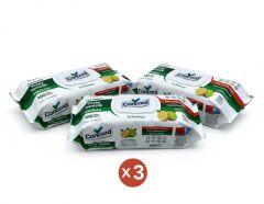 Concord Çok Amaçlı Yüzey Temizlik Havlusu - Limon Kokulu (100 Yaprak) - ÜÇLÜ SET