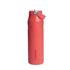 Stanley The IceFlow Bottle Flip Straw 2.0 1.06 L - (36OZ) Hot Coral