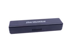 Harmonica Büyük Boy Mızıka Mavi