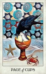 Crow Tarot Created By Mj Cullinane