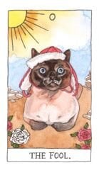 Cat Tarot 78 Cards - Kedi Tarot Kart Destesi