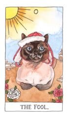 Cat Tarot 78 Cards - Kedi Tarot Kart Destesi