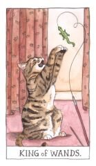 Cat Tarot 78 Cards - Kedi Tarot Kart Destesi
